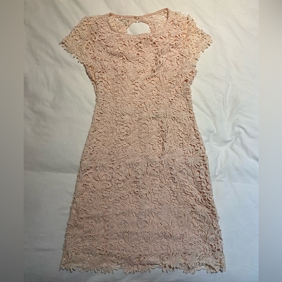Hidden Talent Backless Blush Lace Dress - Picture 4 of 7